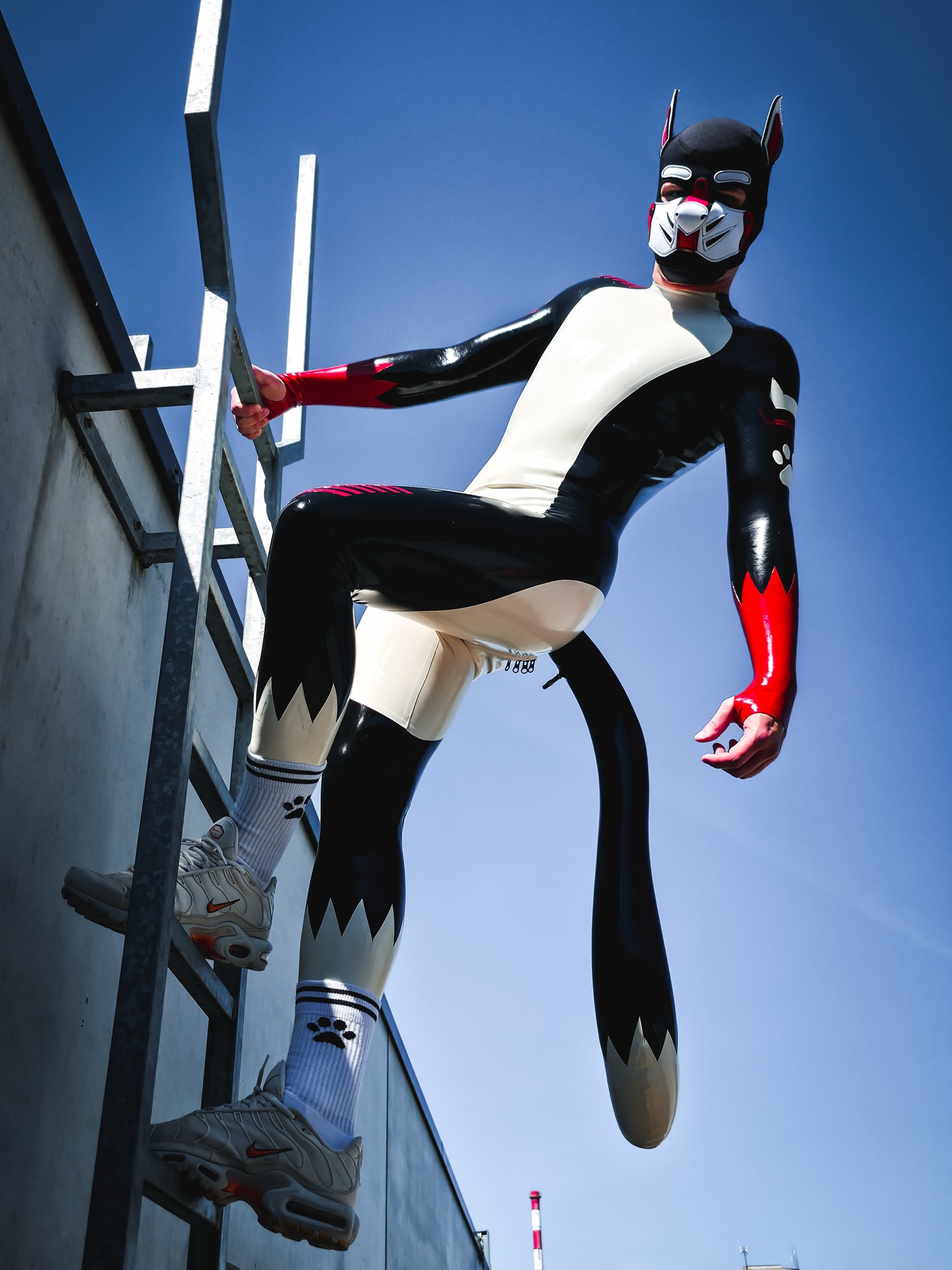 Climbing skills: questionable😅
Style points: accepted🙈☺️

📸: @pup_cozmo 
🎨: @pup_cozmo